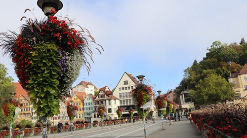 Tübingen events at a glance