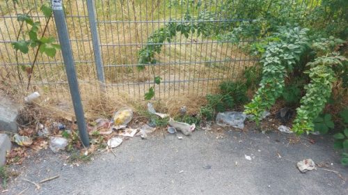 Tübingen increases penalties for littering