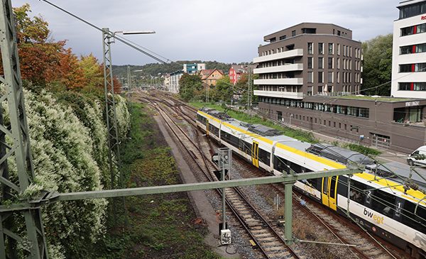 Einzelne Züge ab Tübingen fahren nicht